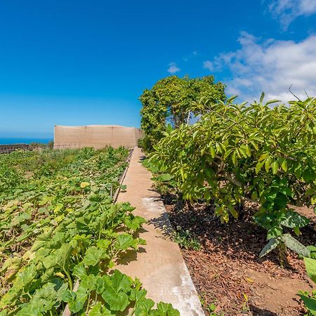 Casa Rural Finca Las Dulces Chío Екстериор снимка